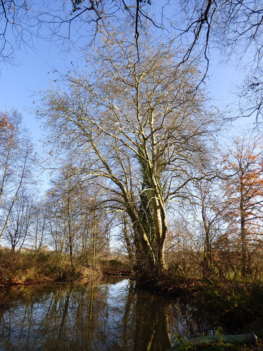 Paysages luzarchois